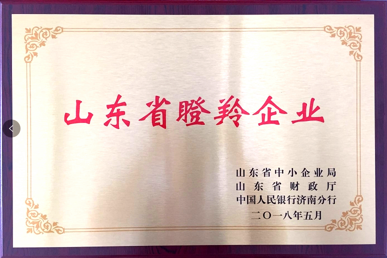 回首過(guò)去，不忘初心；展望未來(lái)，砥礪前行丨2019，龍港再出發(fā)！