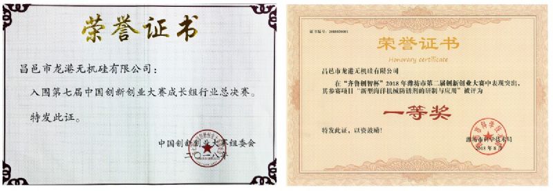 回首過(guò)去，不忘初心；展望未來(lái)，砥礪前行丨2019，龍港再出發(fā)！