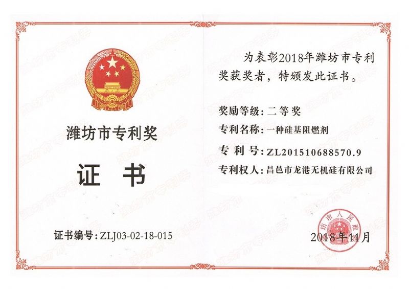 回首過(guò)去，不忘初心；展望未來(lái)，砥礪前行丨2019，龍港再出發(fā)！