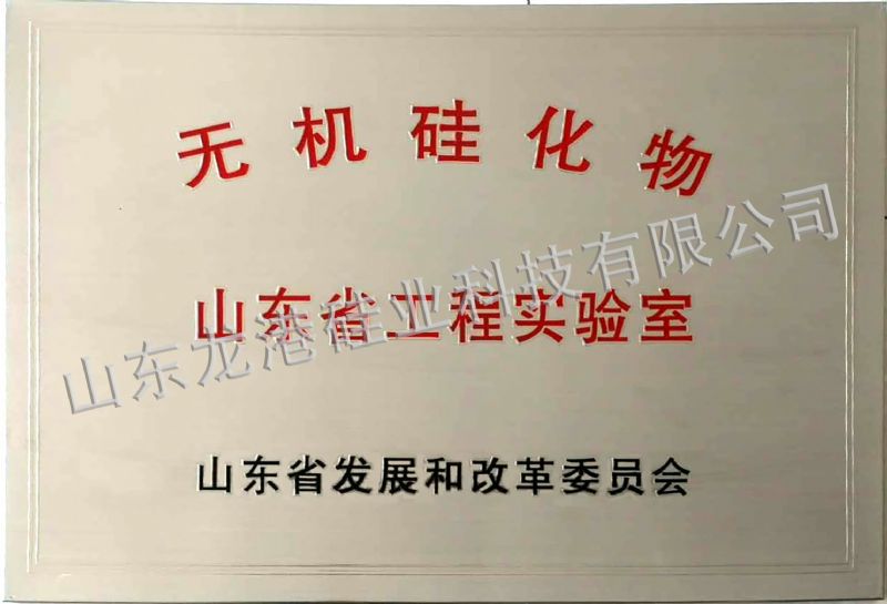 山東省無機(jī)硅化物工程實驗室